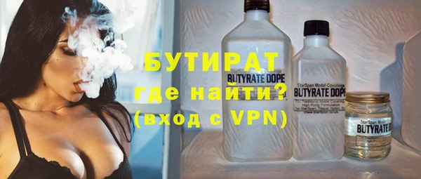 СК Гатчина