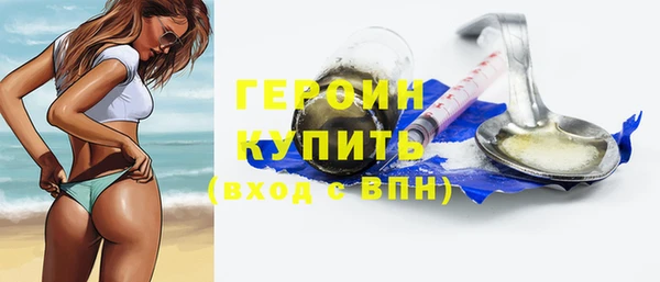 СК Гатчина