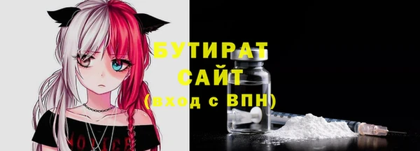 СК Гатчина