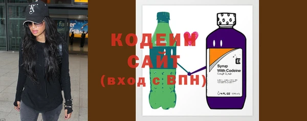 СК Гатчина