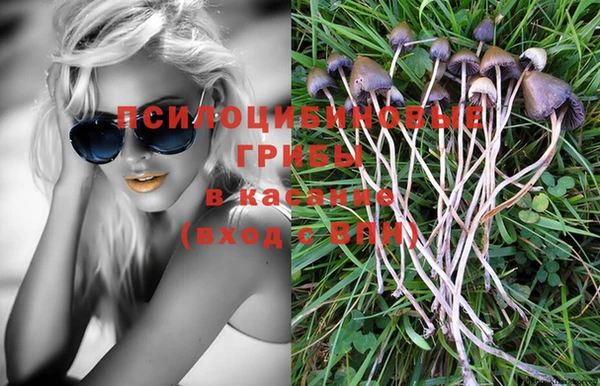 СК Гатчина