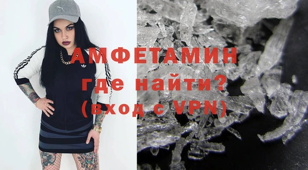СК Гатчина