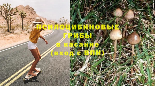 СК Гатчина