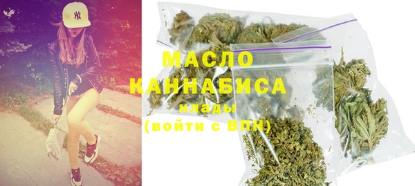 СК Гатчина