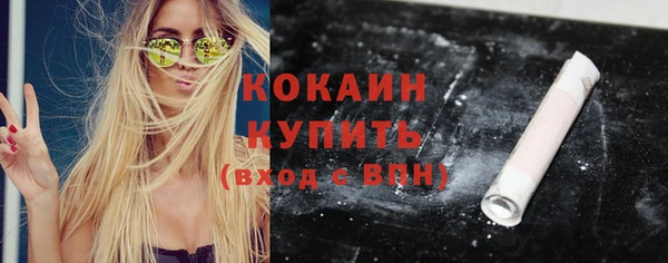 СК Гатчина
