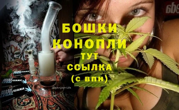кокс Галич