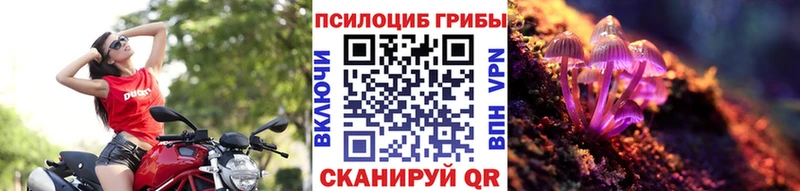 Псилоцибиновые грибы мухоморы  магазин    shop наркотические препараты  Западная Двина 